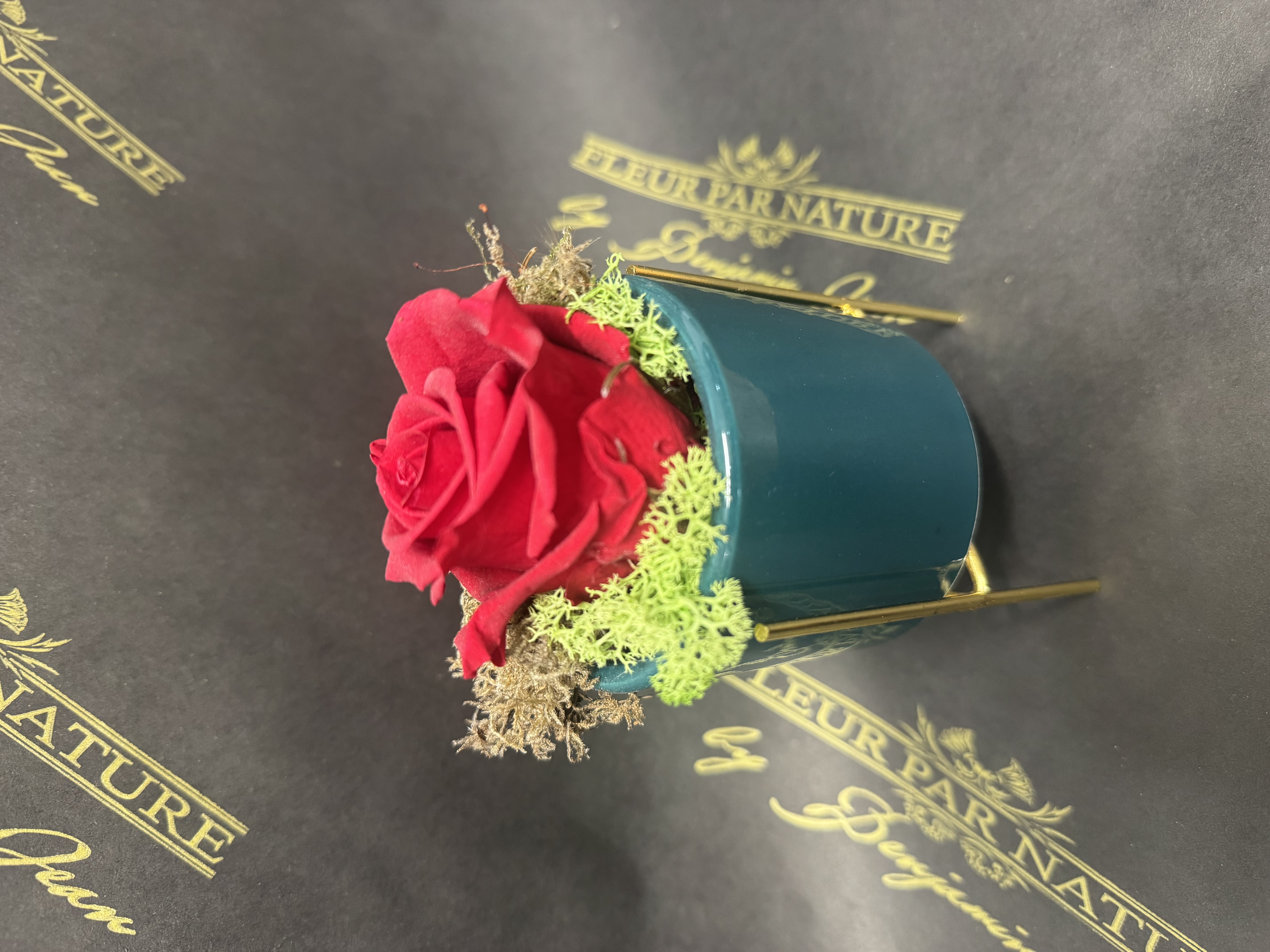 Bouton de Rose Éternelle